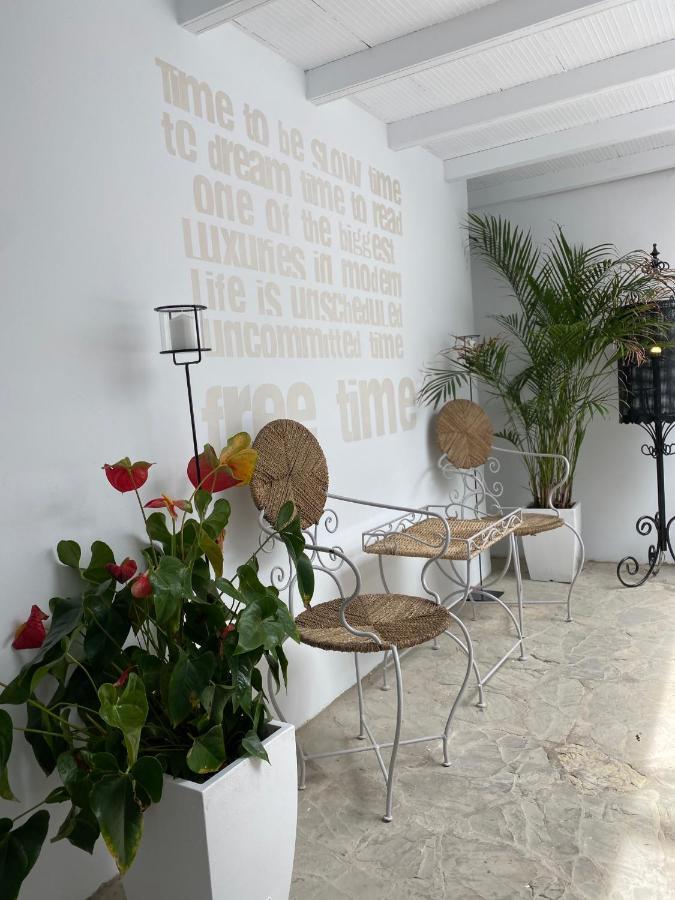 מלון טריפה Casa Blanco מראה חיצוני תמונה