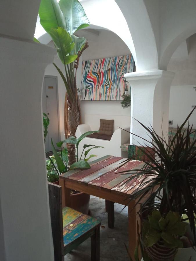 מלון טריפה Casa Blanco מראה חיצוני תמונה